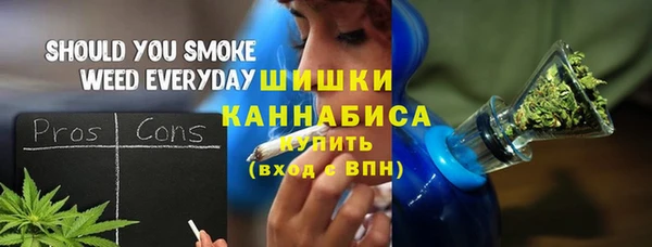 мдпв Бронницы