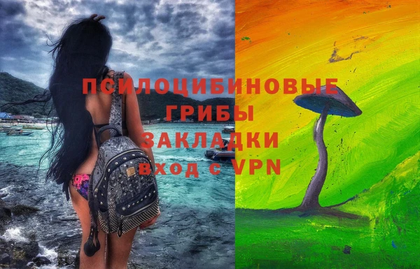 мдпв Бронницы