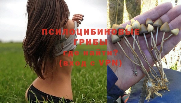 мдпв Бронницы