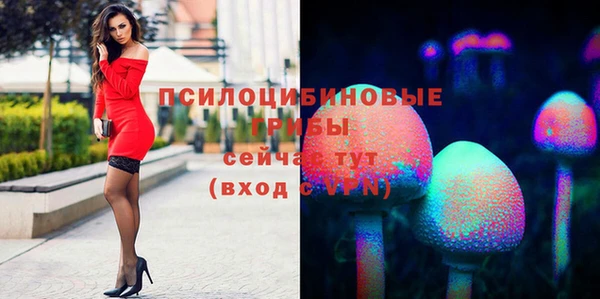 соль курить ск Бугульма